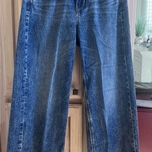 American Eagle Outfitters Relaxed Fit Blue Jeans